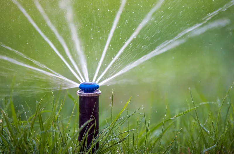Pop-up spray head throwing a full-circle pattern at the nozzle